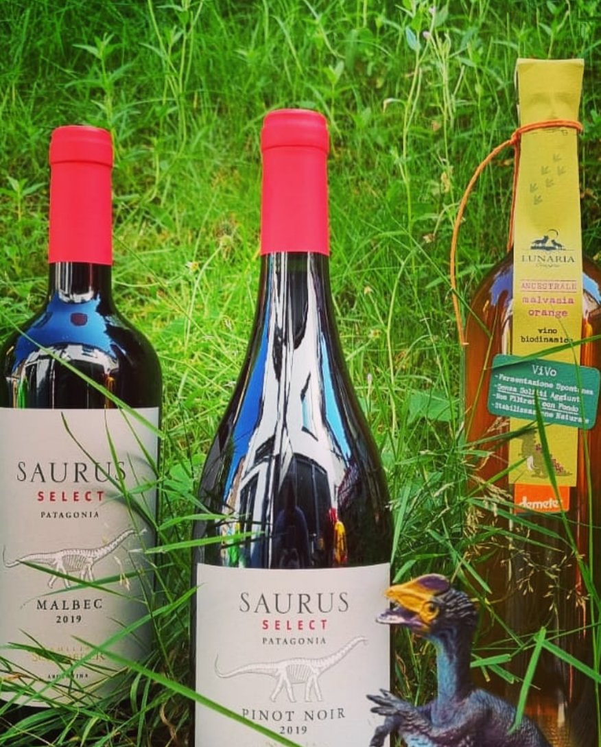 AnyExcuseForaParty! tweet media