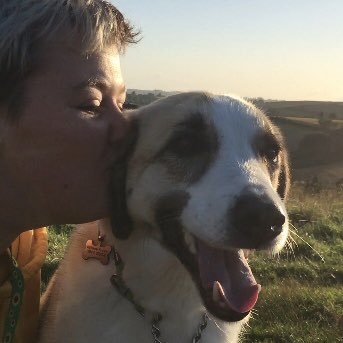 hesitantlyclay's tweet photo. this is my Nowzad Rescue dog, Kringle. he’s the love of my life and his shelter mates are in danger. please donate to https://t.co/xBMLV5vKjv and message your mps to save the staff! #NOWZAD @BorisJohnson @kevin_j_foster @AnthonyMangnal1 https://t.co/d3svXlyPB4