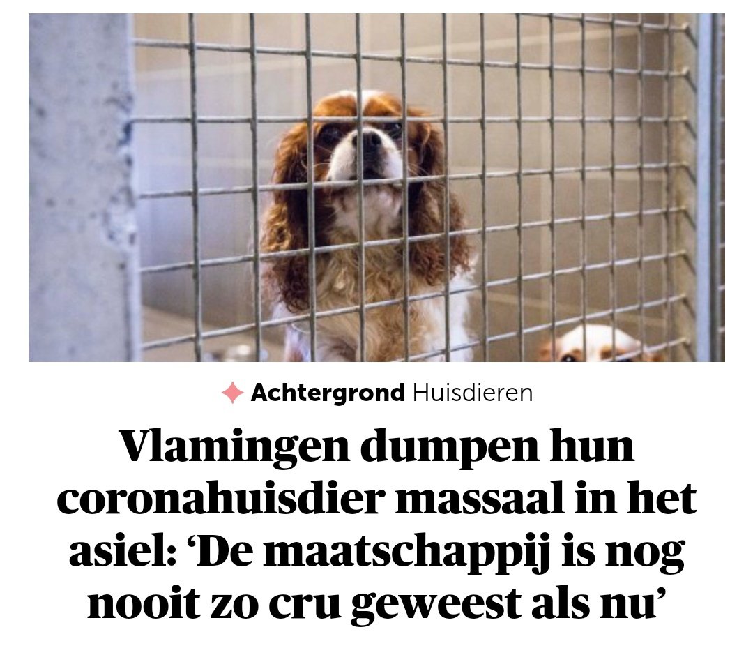 PhRoose's tweet photo. Onmensen. https://t.co/sSIAuR7SX9