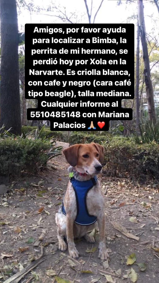 Germán Njr tweet media