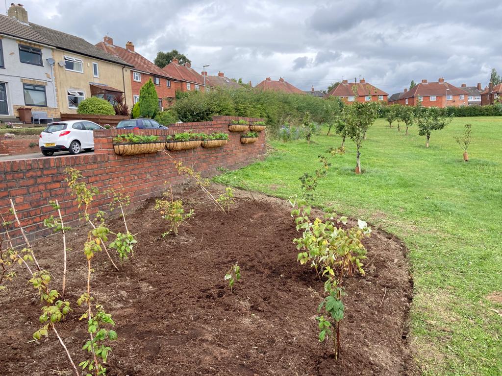 Incredible Edible Crossgates on Twitter "They've created a space for