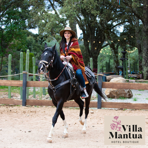 MantuaVilla's tweet photo. ¿Te gusta montar a caballo? En #VillaMantua también tenemos a estos animales maravillosos. Reserva ya en https://t.co/f5iMd6rx8H https://t.co/ZFGzYOOYmX