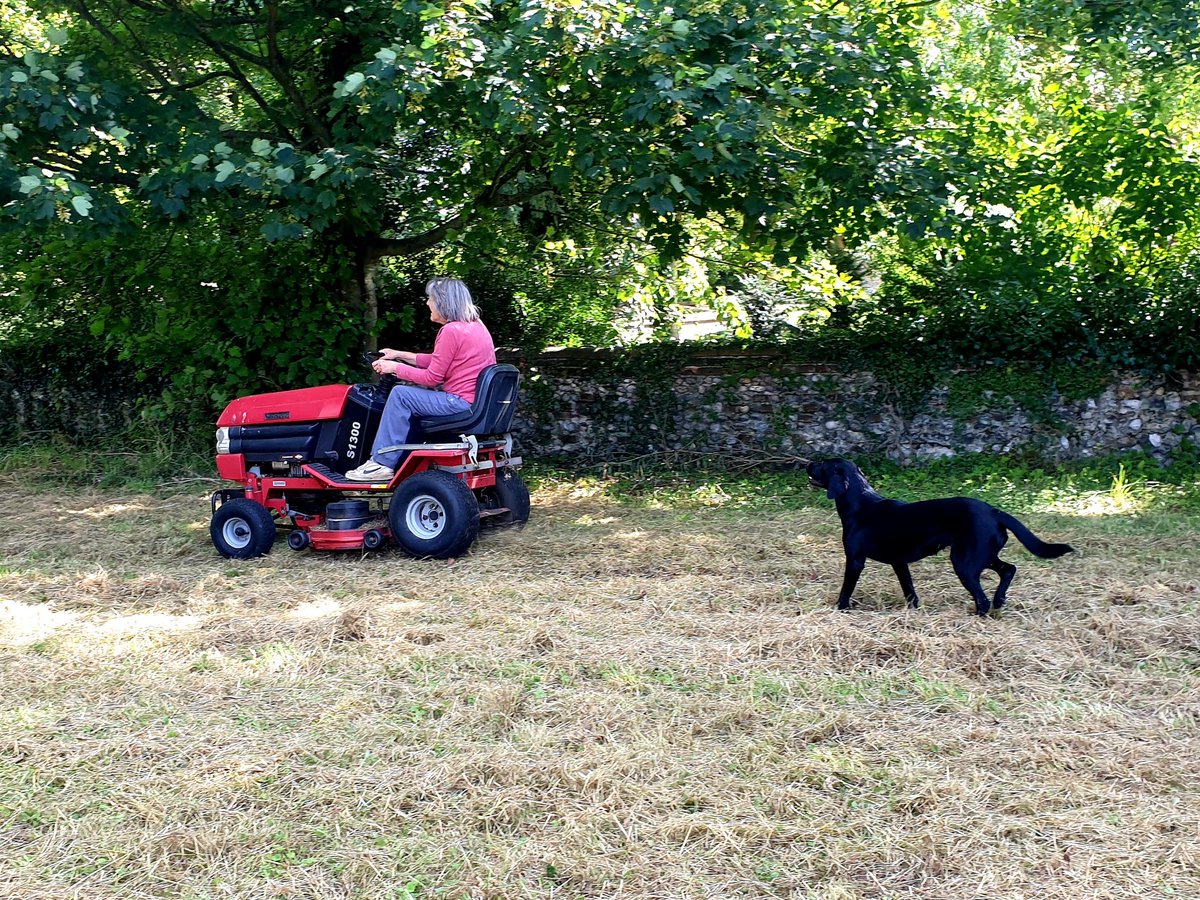 ColinScoles's tweet photo. Well that was a good weekend!
@Hels_Bels_123 
@TEldertons 
@LabradorRetri12 
#dogsoftwitter https://t.co/MUkvasYEqg