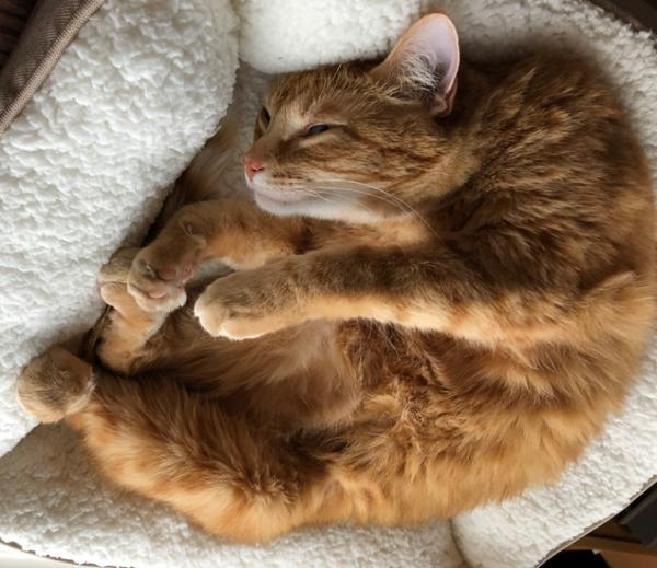 Emily (aka em) tweet media