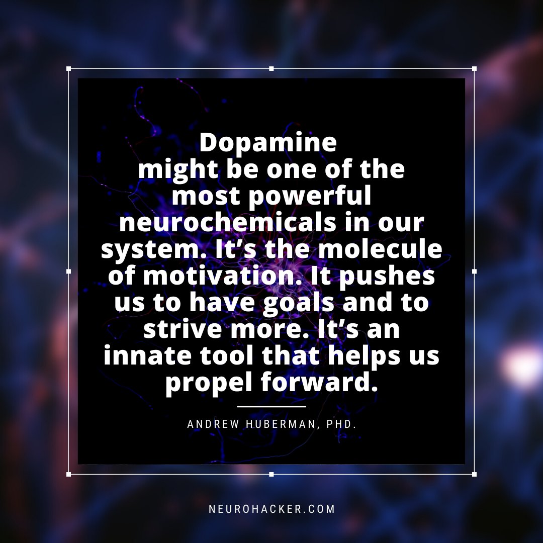 qualialifeco's tweet image. This quote from @hubermanlab is 🔥. Who here agrees that dopamine is one of the most powerful chemicals known to man? #dopamine #neuroscience #neurohacking #brain