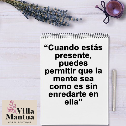 MantuaVilla's tweet photo. Durante tu estadía puedes disfrutar podrás disfrutas diversas experiencias y atardeceres espectaculares. Reserva tu estadía con nosotros https://t.co/f5iMd69VK7 https://t.co/gE8z69TKZB