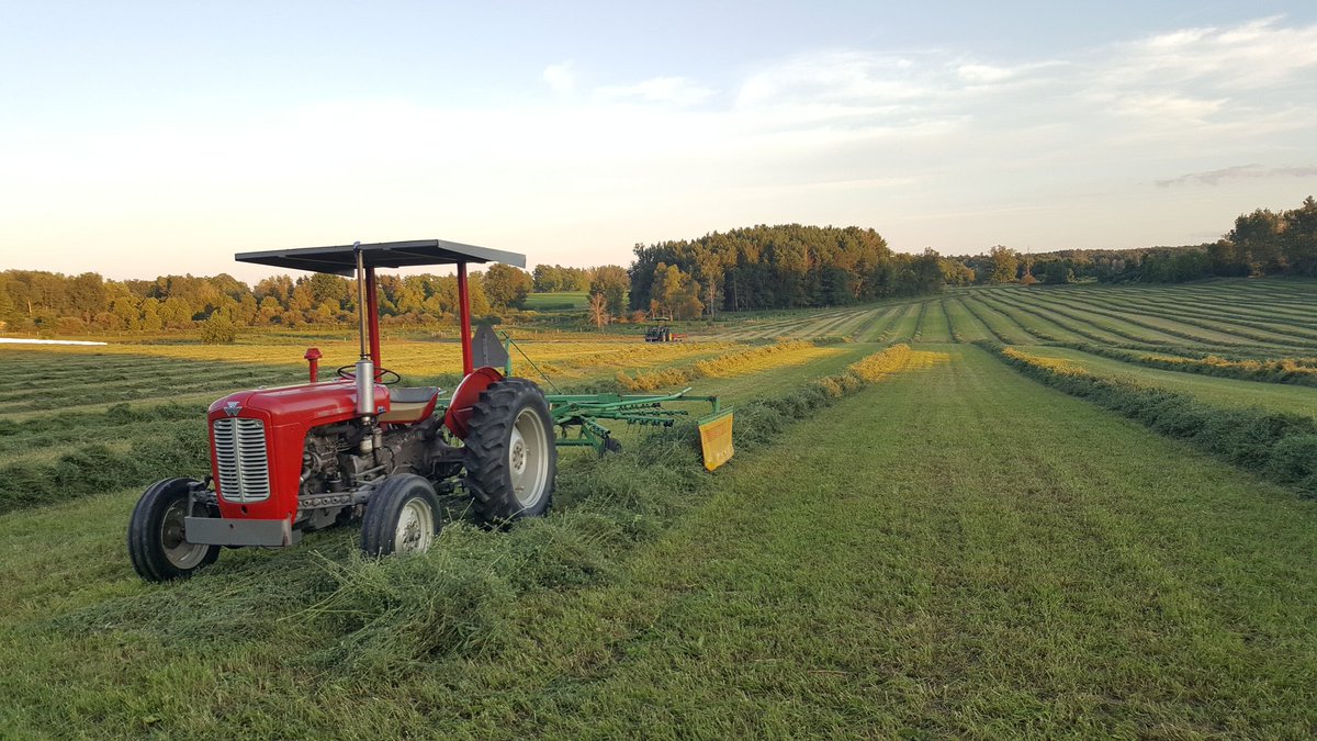 Beauty evening to get some hay raked and ready to be baled tomorrow! <a href="/KatherineHMBird/">Katherine Bird</a>