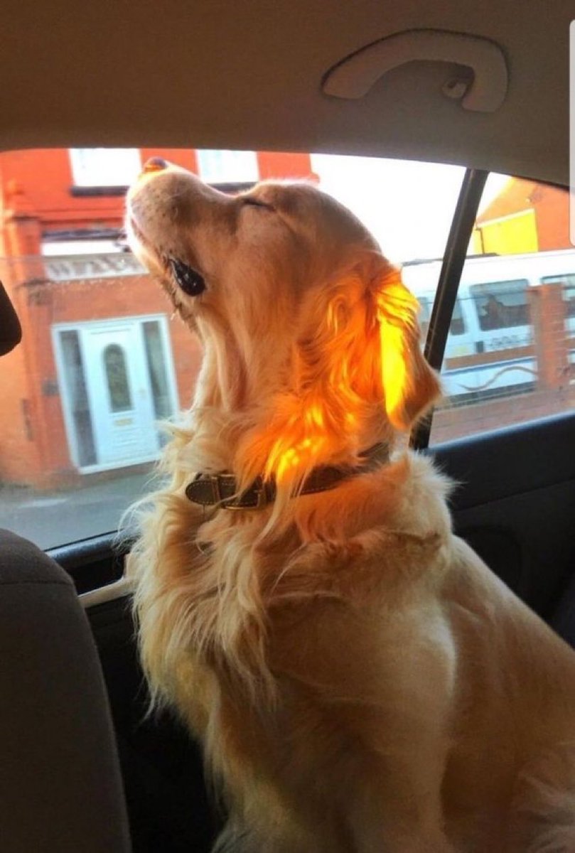 When I see <a href="/Wuki/">wuki 🌞</a> and @DJNittiGritti on a lineup