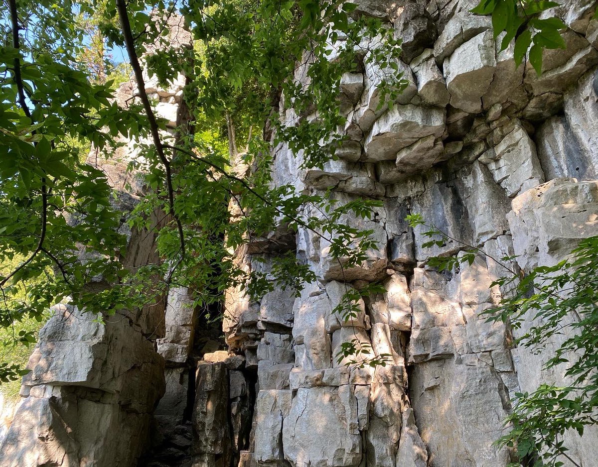 davidha02's tweet photo. Some fun shots from our hike at Rattlesnake Point. Bro’s now back in Chicago, but was great to spend time together again after 1.5 years because of the pandemic #RattlesnakePoint https://t.co/YOdWQtnJ7b