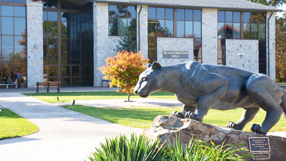 McClain Flinn tweet media