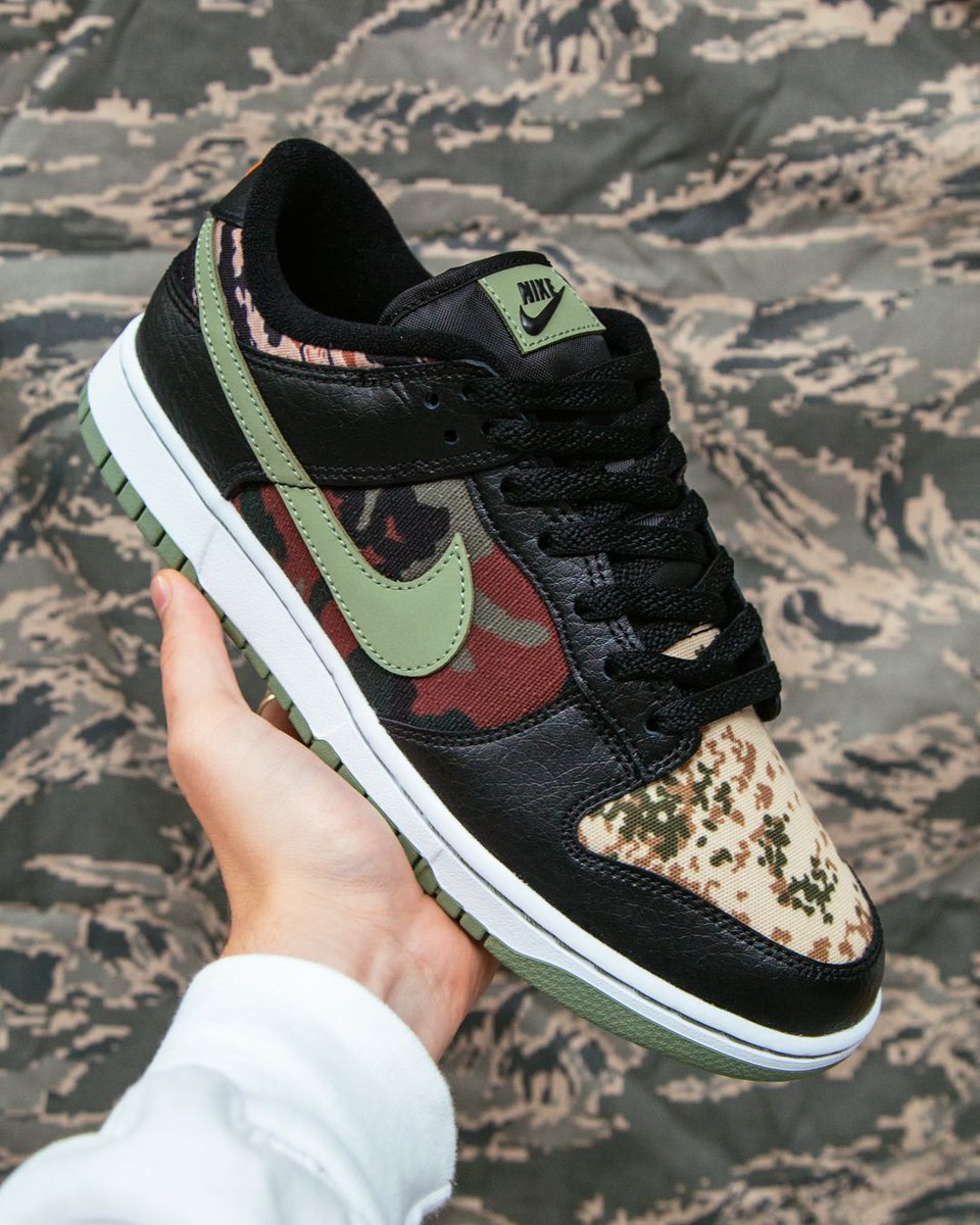 The Nike Dunk Low SE The Nike Dunk Low SE