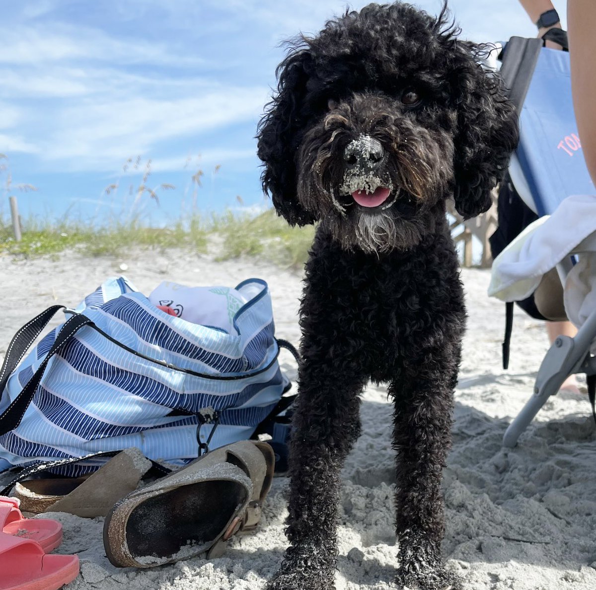 ᴬˢᴴᴸᵞᴺᴹᴬˢᵀᴱᴿˢ tweet media