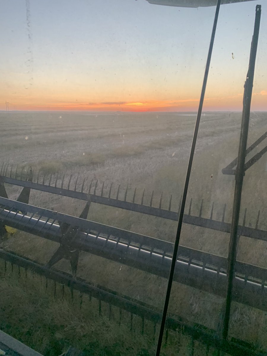 Byron Bitz tweet media