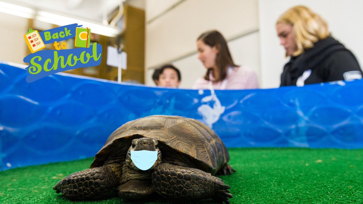 SERCSJSU's tweet image. Happy first day of school to all the students going back this week! #firstdayofschool #backtoschool #scienceprogram