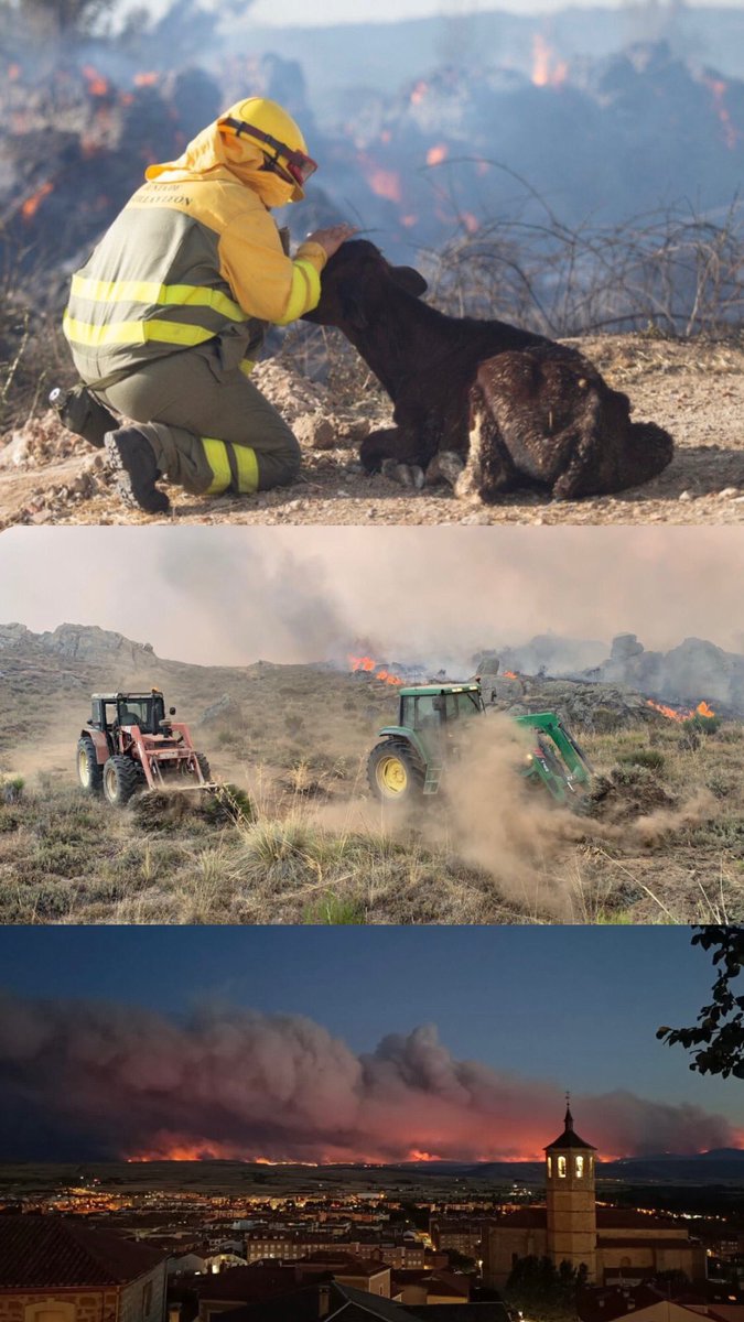 MartaSainz23's tweet photo. Mucha fuerza 💔💔 #IFNavalacruz  #ÁvilaSeQuema https://t.co/XOscRxYEdy