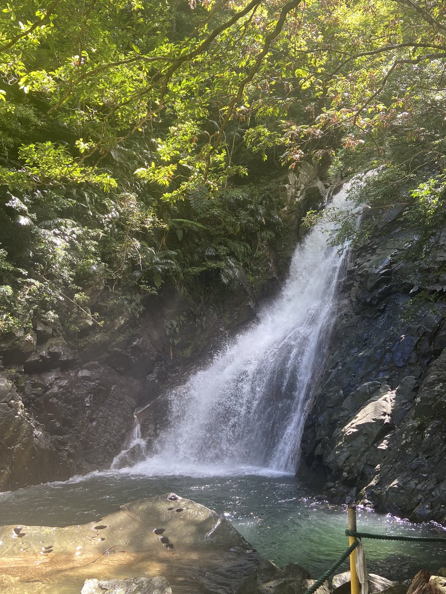 Matebocha (@matebocha) on Twitter photo Finding peace… nothing like a secluded Okinawan waterfall. The trek through jungle, river walking, and watching out for habus (pit vipers) was worth it. #relaxation Finding peace… nothing like a secluded Okinawan waterfall. The trek through jungle, river walking, and watching out for habus (pit vipers) was worth it. #relaxation