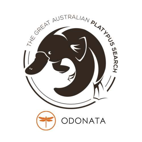 andrewrweeks's tweet photo. This is a call out to all budding citizen scientists living in Victoria. @CitSciOZ @platypusspot @enviro_DNA @DELWP_Vic @WaterwatchVic #edna https://t.co/tZLMDrrmwh