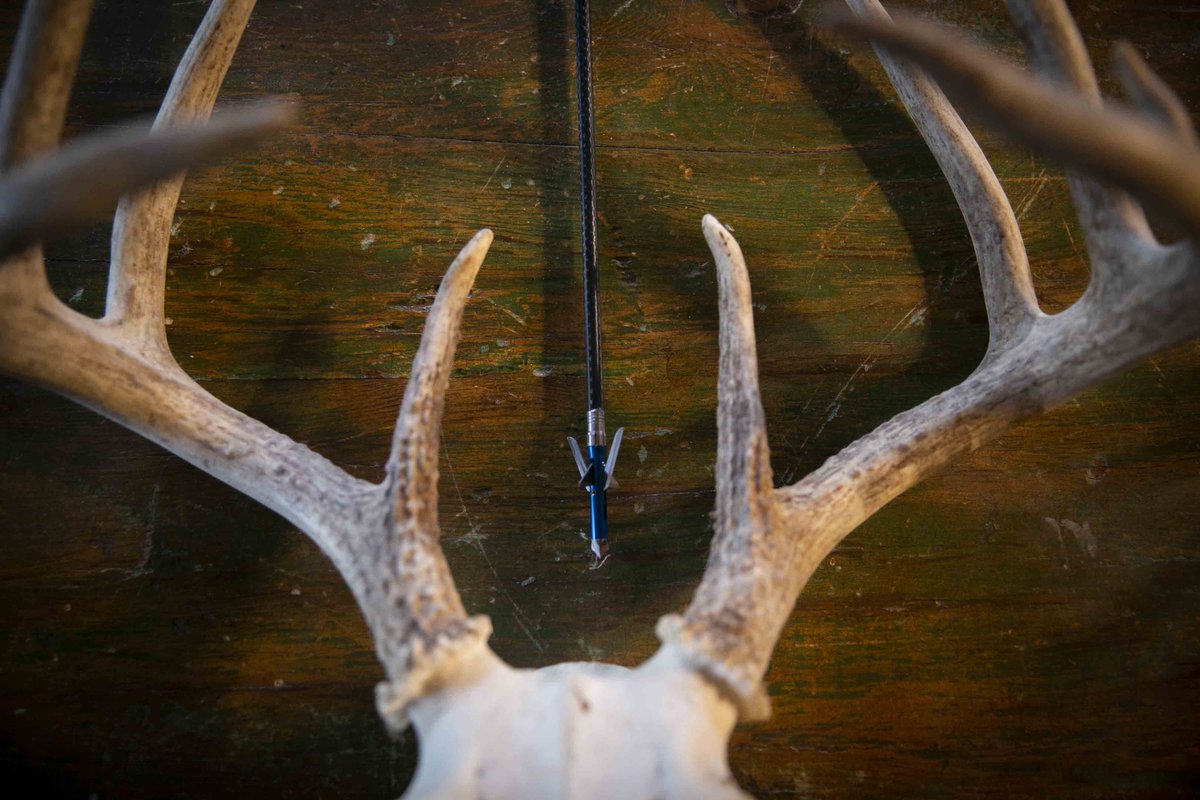 VeteranIP's tweet photo. Unmatched engineering to improve recovery rates.
https://t.co/SICQotaSh7
.
.
#VIPWarrior #VIPAmericanWarrior #VIP #VIPbroadheads #bowhunting #bowhuntinglife #veteranowned #madeinusa #hunting #deerhunting #deerseason #bigbucks #turkeyhunting https://t.co/x87zieREWd
