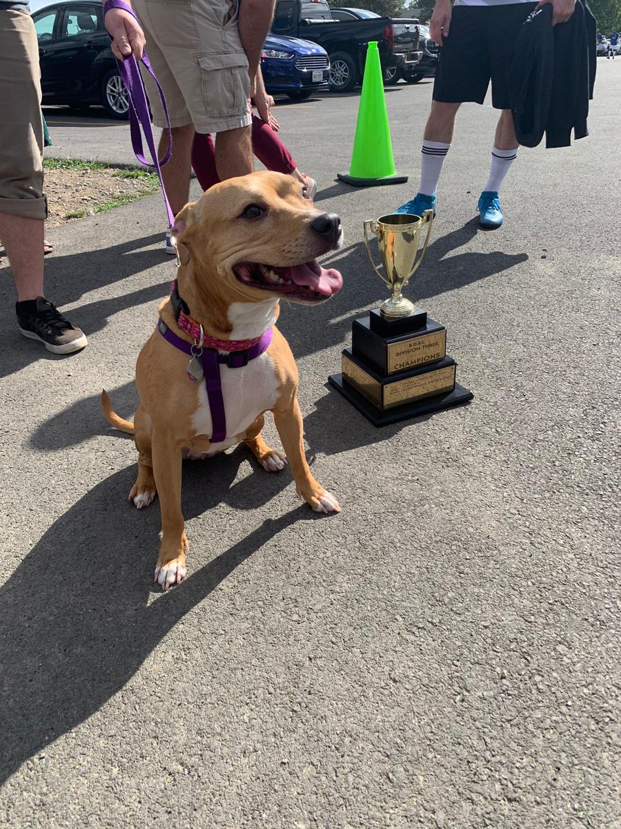 Buffalo_Cosmos's tweet image. First season.
Fun was had. 
UNDEFEATED.

DIV. 3. CHAMPIONS.