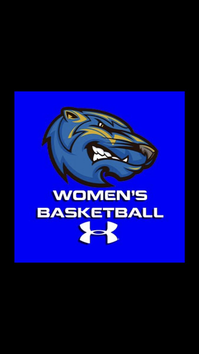 Had a great conversation with Coach Gray! Blessed to receive an offer from <a href="/BresciaWBB/">Brescia Women's Basketball</a> 🏀