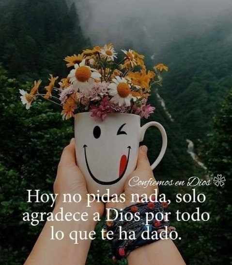 UCYR's tweet image. #Domingo15 ⬇️⬇️⬇️⬇️⬇️⬇️⬇️⬇️