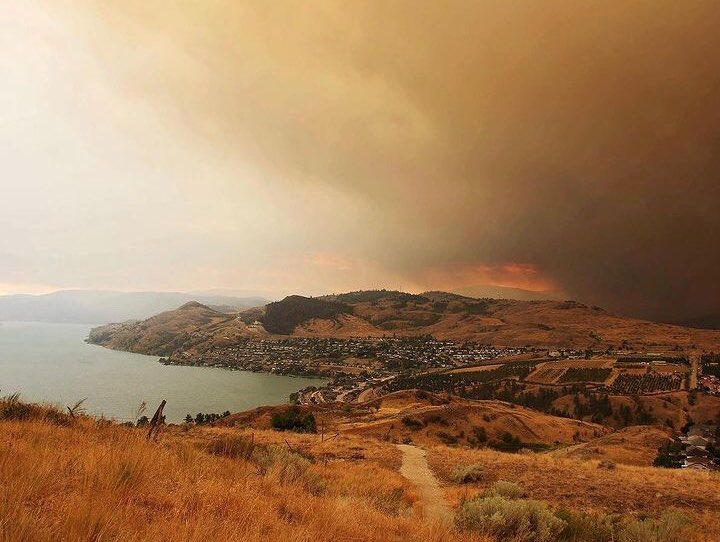GaelicGolfer's tweet photo. โIf youโre thinking of visiting, donโt. If you are a tourist, leave now,โ declared Public Safety Minister Mike Farnworth at an impromptu Friday news conference.
#BCstorm #BCWildfire #BCWildfires #BCSmoke #BCisBurning #WhiteRockLakeFire #VernonBC https://t.co/Y3w3TDSXty
