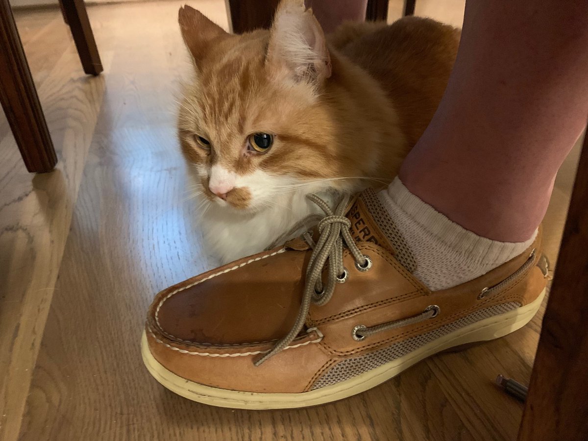 When the thunder and lightning hits Houston, Colby heads for the bunker. #khou