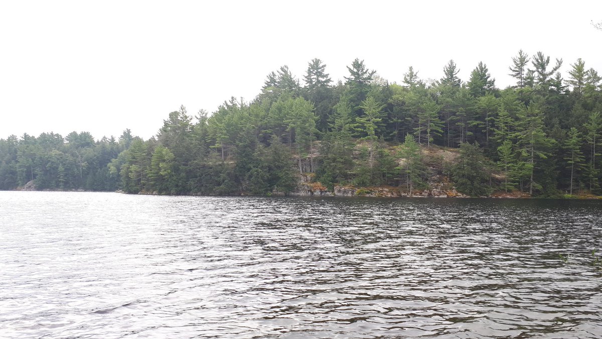 SmallTownON's tweet photo. Paid a visit to The Massassauga Provincial Park near beautiful Parry Sound, Ontario (@PSoundTourism). https://t.co/z4m5TwqWnQ