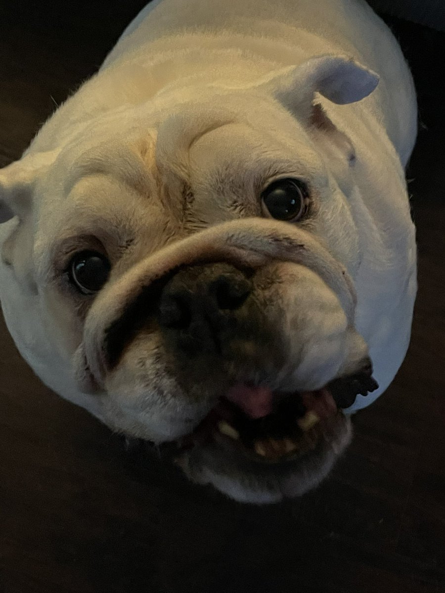 giga2001's tweet photo. @sarahg1561 The last pic I took of my baby. Haven’t laid eyes on him since 8/3 https://t.co/hUsf51nViQ