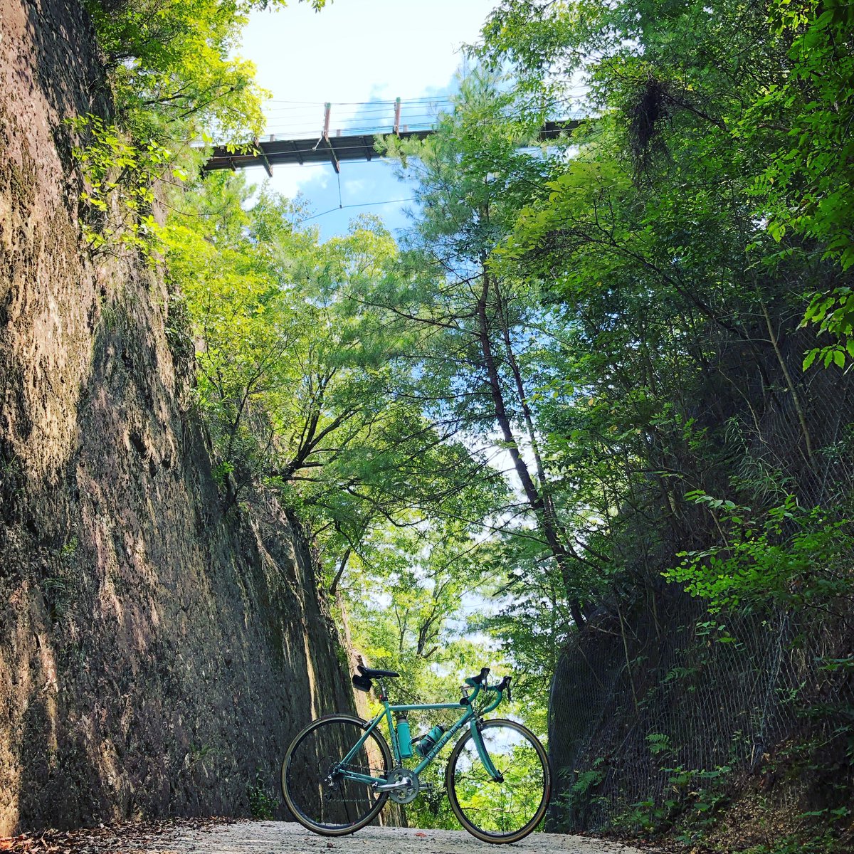 arigatuo03's tweet photo. 「目指すは吊り橋」
自転車に乗って？いえいえ、もちろん担いで登ります！
#ビアンキ #bianchi #チェレステ #古法華自然公園 #加西市 #kasai #hyogo #japan https://t.co/twpJrpocWR