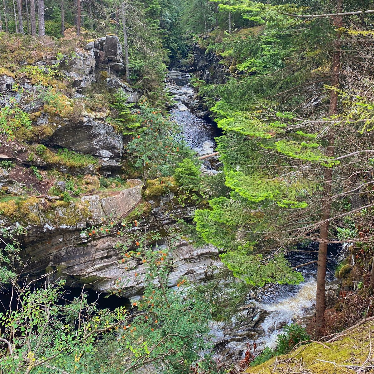 AndyBowenHG's tweet photo. The #FallsofBruar in the Scottish Highlands 💦 🏴󠁧󠁢󠁳󠁣󠁴󠁿 https://t.co/uSGprxtms6