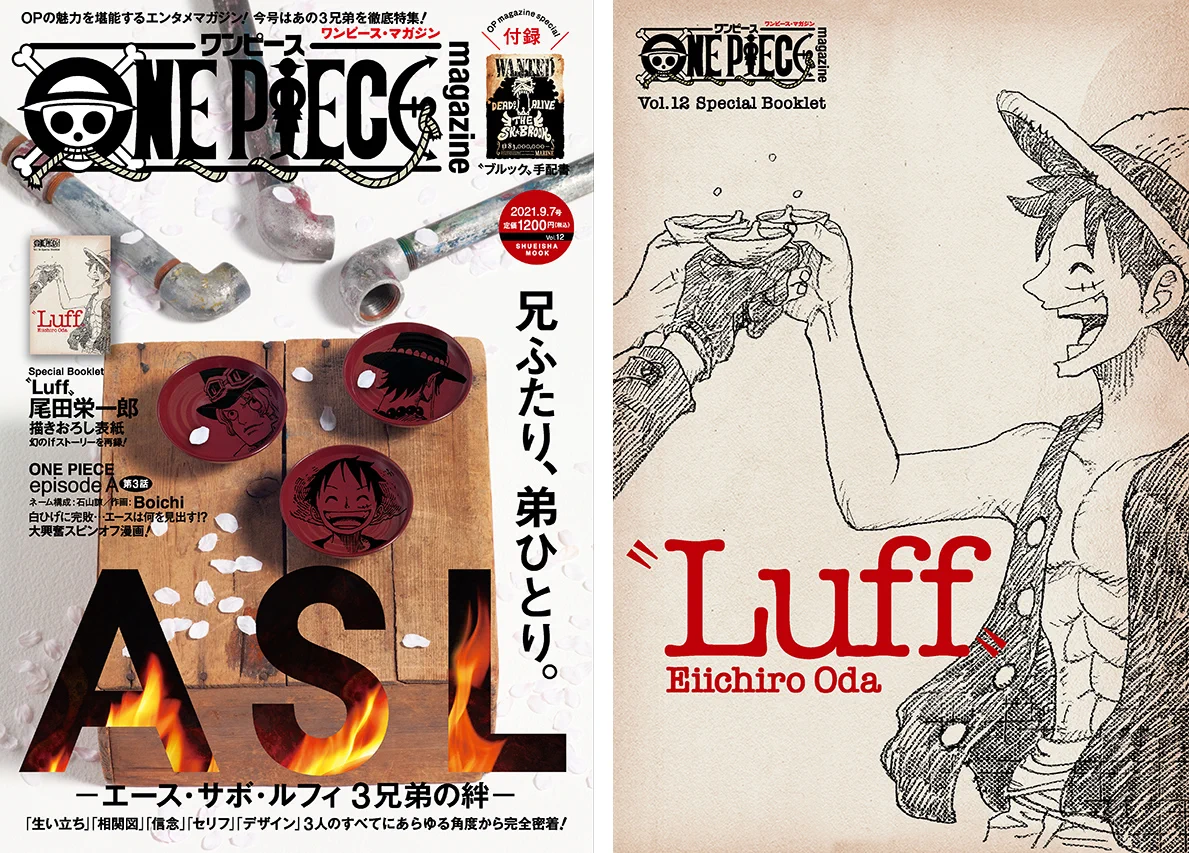 ONE PIECE.com(ワンピース) on X: 