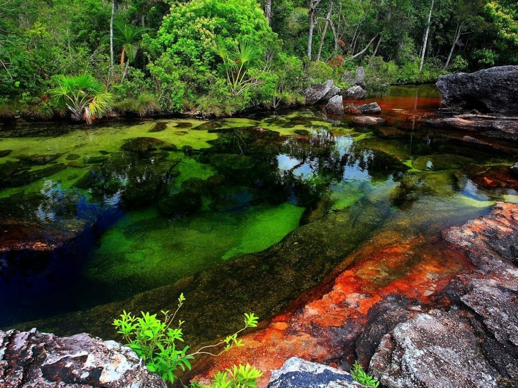Это не компьютерная графика, а колумбийская река Каньо-Кристалес. Её вода кристально чиста, а дно поражает изобилием разноцветных мхов и водорослей. 

Наверное, как-то так выглядят те самые кисельные берега