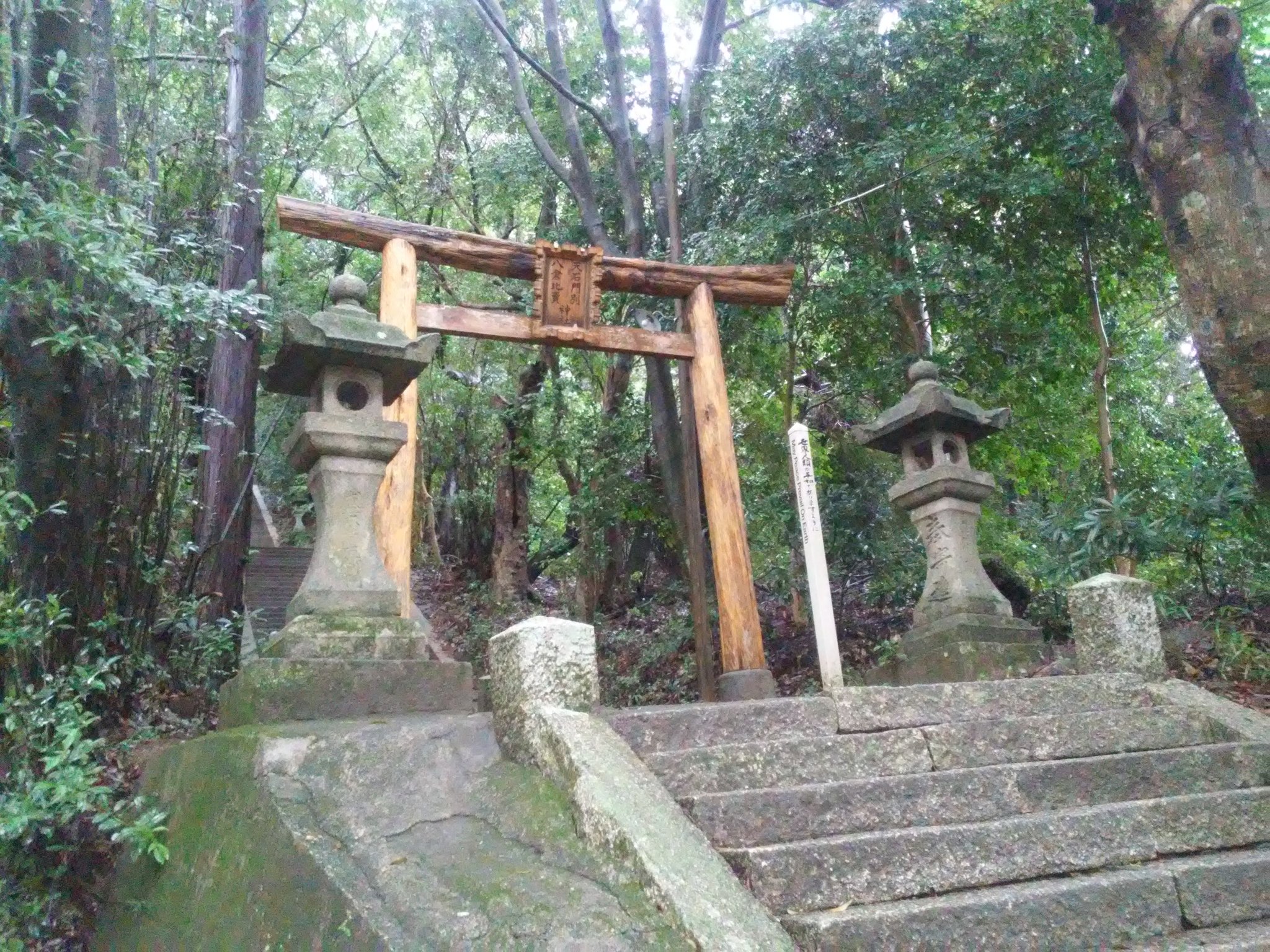 森本高史on Twitter For You To Progress Grow And Achieve You Need To Step Out Of Your Comfort Zone Have A Nice Day T Co Ghtlefdx4l Twitter