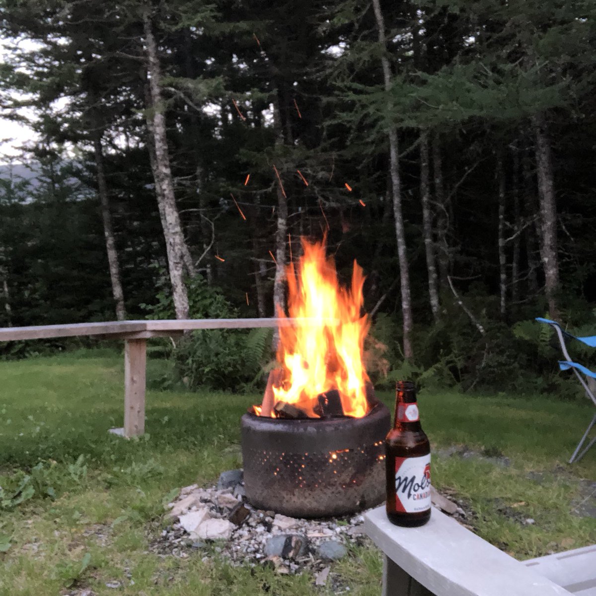 Nutting Like It!!  Some night out after a large day!!  #torbay #countryliving