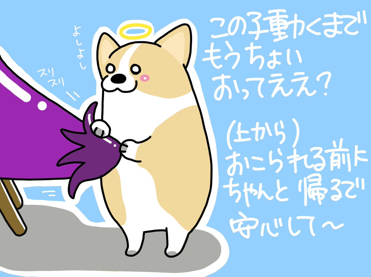 コーギーイラスト Twitter Search