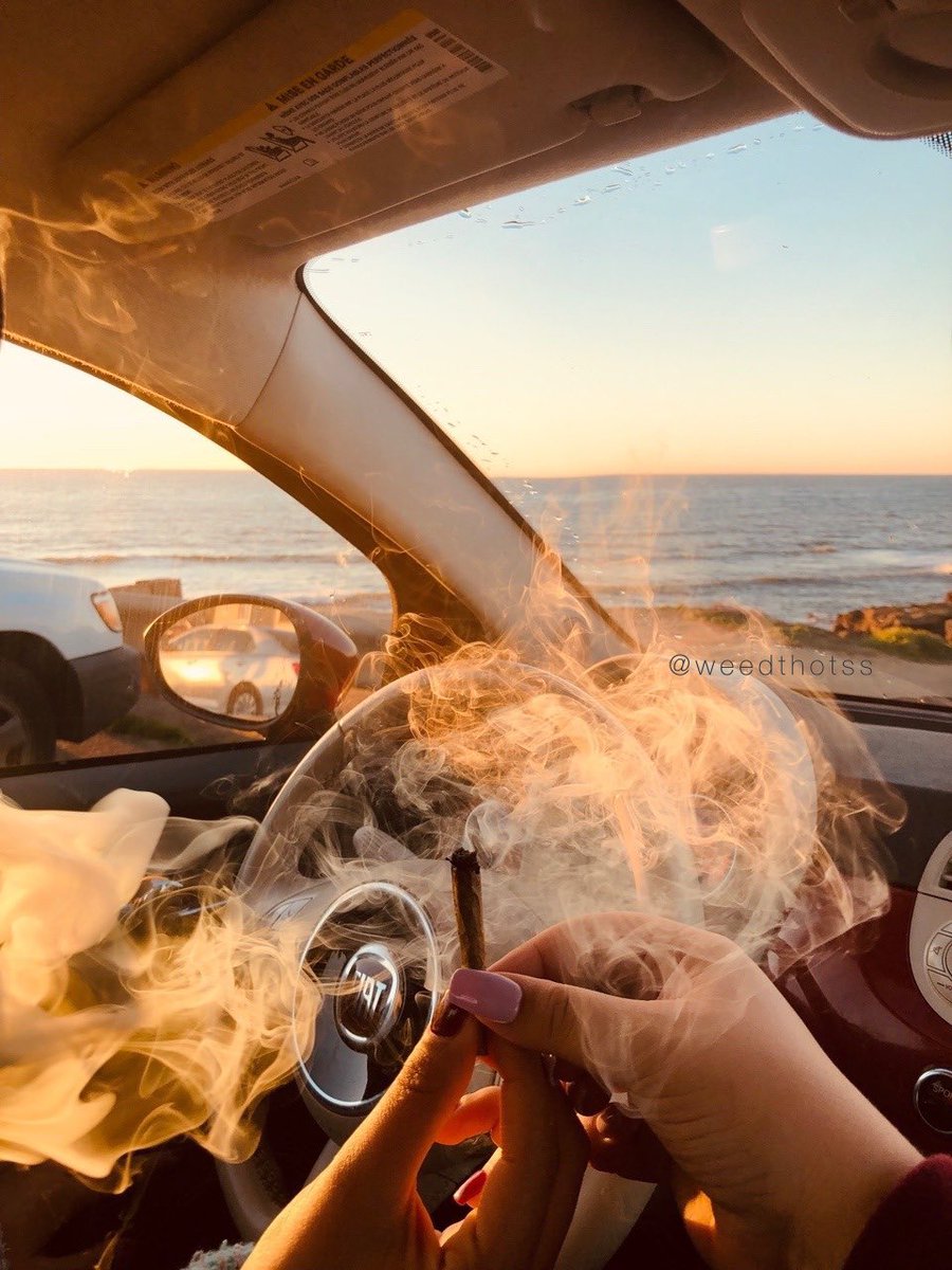 pass joints not judgement 💭🍁❤️