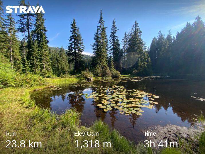 MikeSenior's tweet image. Lazy hazy hike up to Brockton Point. I was going to go further but I forgot my water filter and InReach so playing it safe. It was still a great day to get outside now the AQHI is low. #seenonmyrun