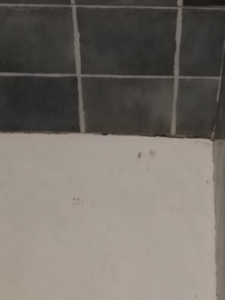 raquelser___'s tweet photo. @bookingcom esto da ASCO. No me he podido duchar en dos días de estancia y tampoco ir al baño (me lo encontré tal que así). El "hostal" en cuestión es "The Corner House Boutique" en #CalaRatjada #Mallorca .HUID https://t.co/maLp3Z95Pj