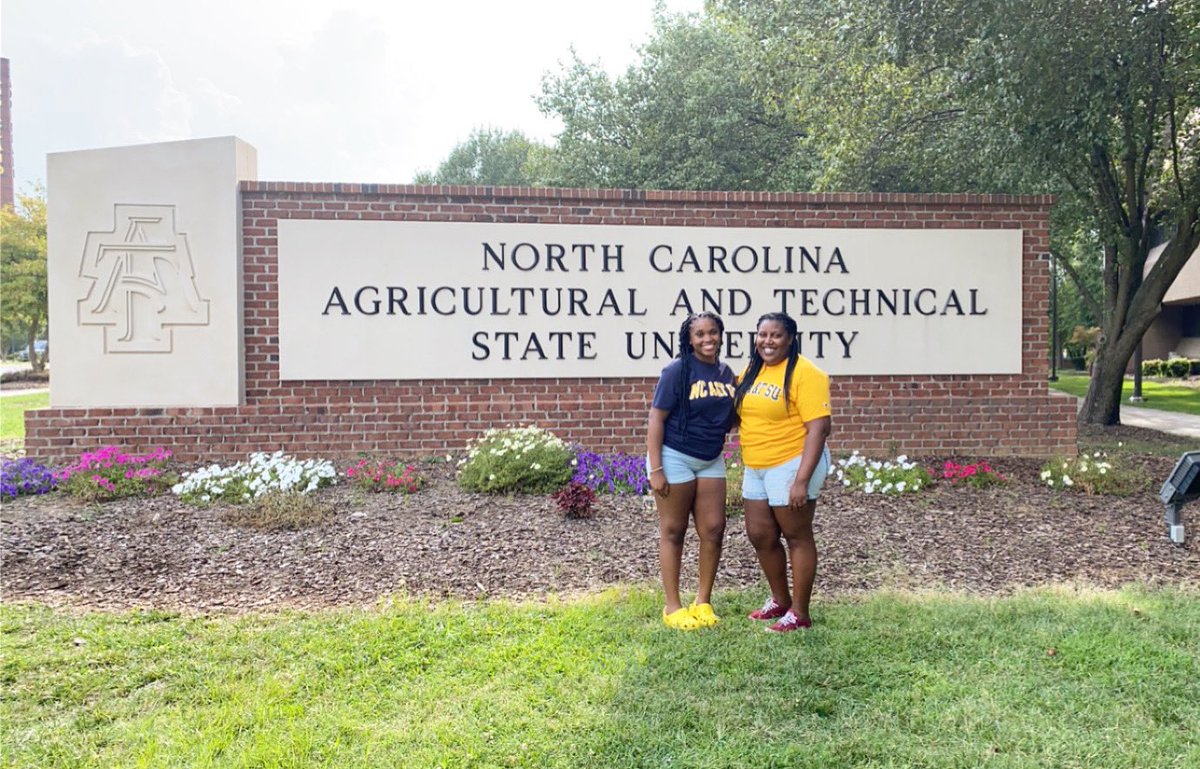 Diana Mitchell tweet media