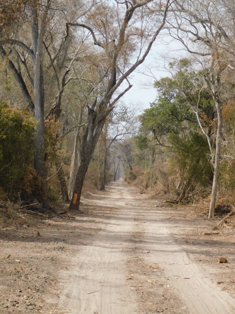 ArnoldoWiens's tweet image. Acaban de regresar de su aventura sobre la linea de frontera entre Paraguay y Bolivia. Desde el Hito VII al Hito X. Hermosas fotos nos enviaron, que captan esa hermosa naturaleza. La apertura de la linea de frontera fue gestion del @mopcparaguay @cndl_mre y del @COMINGE_Py