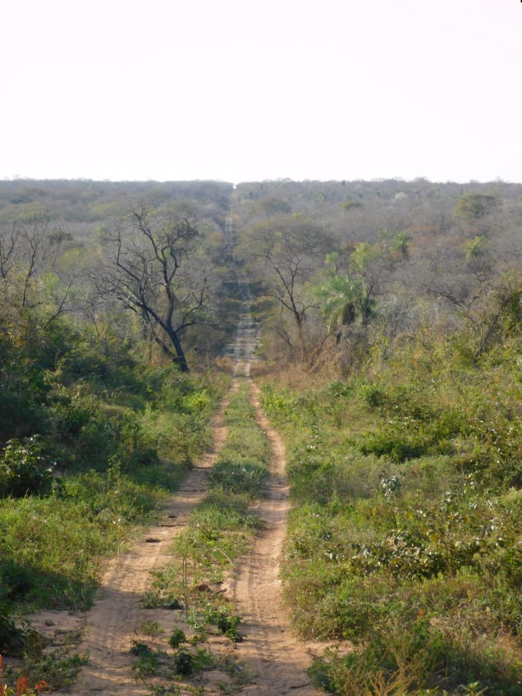 Acaban de regresar de su aventura sobre la linea de frontera entre Paraguay y Bolivia. Desde el Hito VII al Hito X. Hermosas fotos nos enviaron, que captan esa hermosa naturaleza. La apertura de la linea de frontera fue gestion del <a href="/mopcparaguay/">MOPC Paraguay</a> <a href="/cndl_mre/">Comisión Nacional Demarcadora de Límites (CNDL)</a> y del <a href="/COMINGE_Py/">Comando de Ingeniería del Ejército</a>