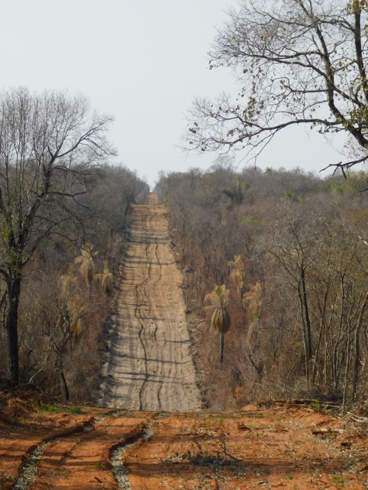 ArnoldoWiens's tweet image. Acaban de regresar de su aventura sobre la linea de frontera entre Paraguay y Bolivia. Desde el Hito VII al Hito X. Hermosas fotos nos enviaron, que captan esa hermosa naturaleza. La apertura de la linea de frontera fue gestion del @mopcparaguay @cndl_mre y del @COMINGE_Py