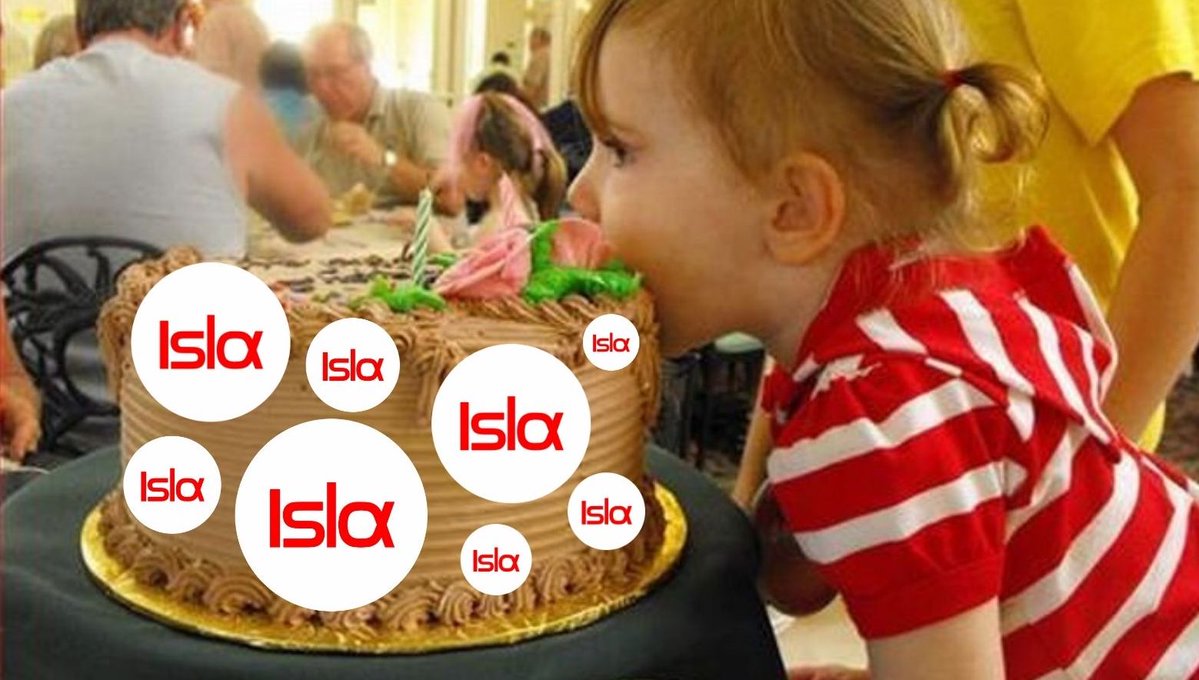 Actual photo of me preparing for #altseason. $ISLA by <a href="/insula_im/">Insula ⬢ ⬡ ⬣</a> #altcoins #crypto