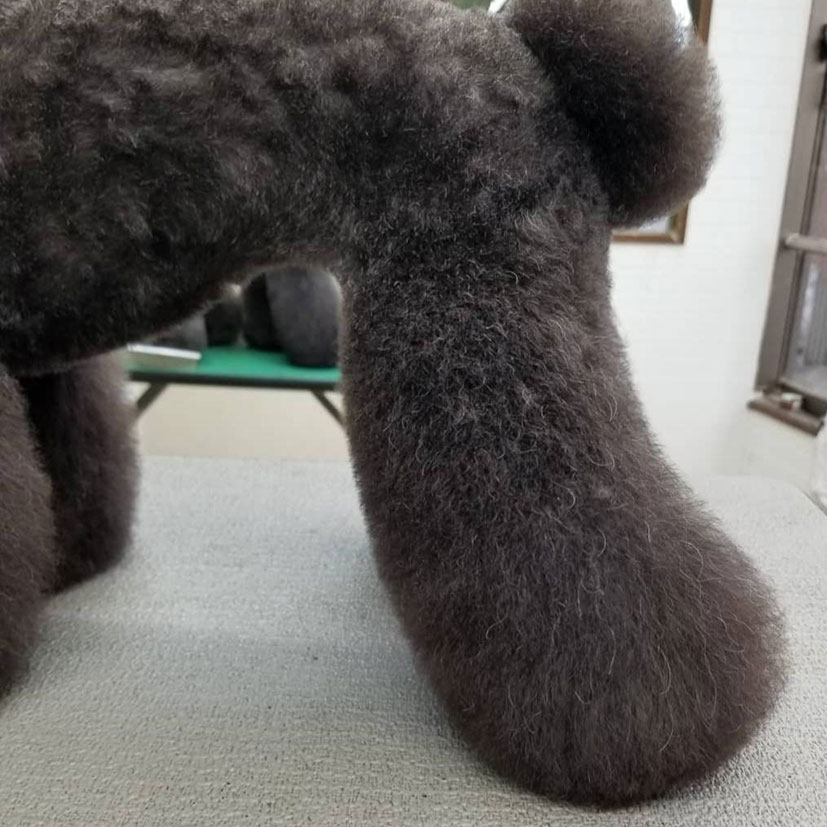 株式会社asobolabo 21年8月24日 火 11 00 12 30 講師 村田 浩樹 氏 Pet Salon Dearest パピーカットのお悩み解決 シュナ プードルパピー 希望スタイルに向けてのカットラインの作り方 トリミングサロン 犬 猫 Trimmingsalon グルーマー