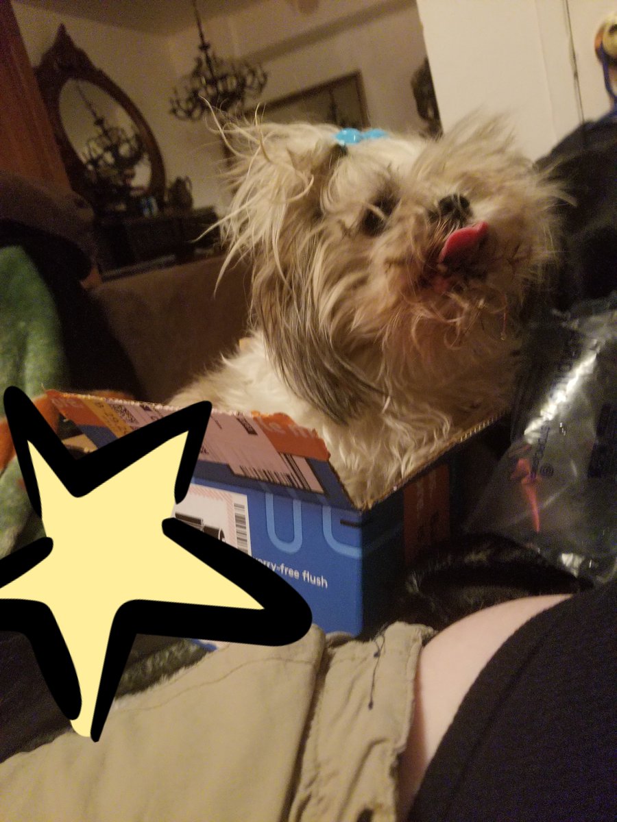 JuddAngel1's tweet photo. ๐ฆ๐ฆ๐ฆ
๐ฆ๐ถ๐ฆ
๐ฆ๐ฆ๐ฆ
My Shih tzu Owner, Lucy, climbed into the teeny-tiny box, and refused to be extricated! Isn't she adorbs!?
๐
#dtctrans #shihtzu #doggodad #writerslife #ilovelucy https://t.co/6PB9Jk6ai2