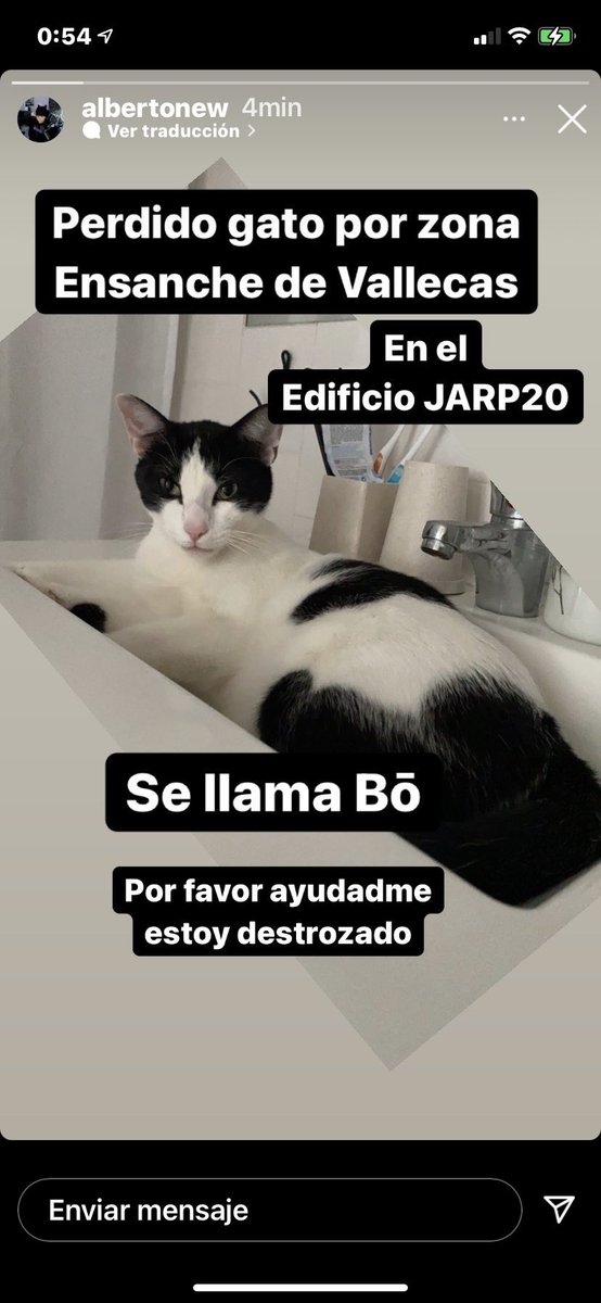 He perdido a mi gato, no sé como se ha podido escapar, al llegar a casa ya no estaba. Estoy hundidisimo ahora mismo, espero que aparezca pronto🥺