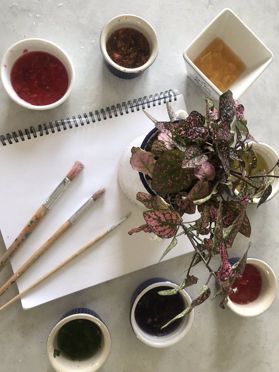 Flower paint I made as part of <a href="/maritime_reads/">Ellie Wilson</a> #youthdrawtheword! 

#homemade #digitallylit #art #books #AllTheThingsWeLeaveBehind