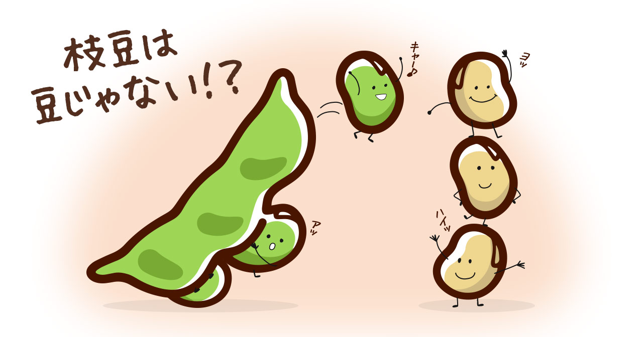 ジモ ベジ 公式 農家の暮らし応援します 野菜豆知識 おつまみの定番 枝豆 実は豆類じゃないって知ってましたか 大豆として熟す前なので 緑黄色野菜 に分類されます ビタミンaやビタミンc カロチンが豊富なうえに大豆同様タンパク質も多く