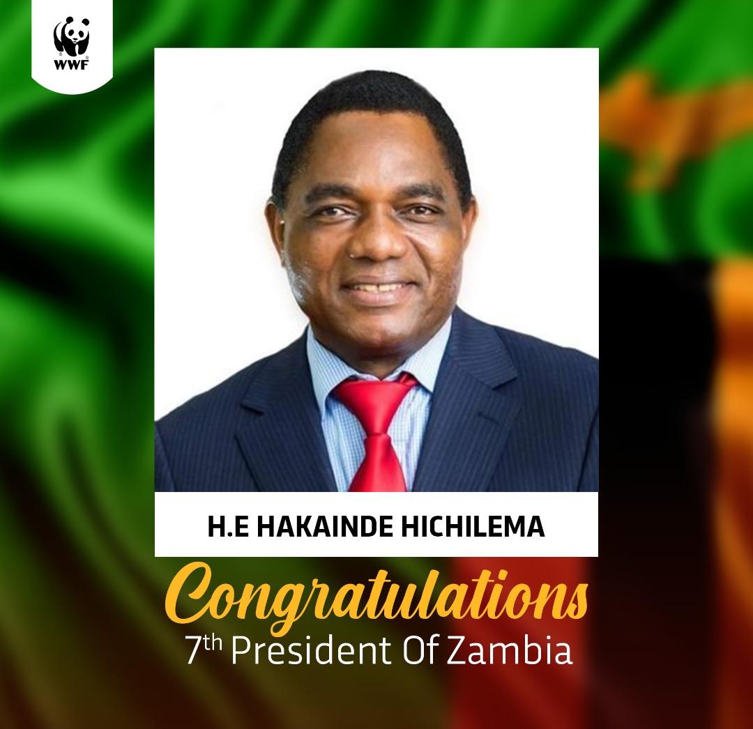 Congratulations your Excellency <a href="/HHichilema/">Hakainde Hichilema</a> Mr Hakainde Hichilema on your election as Zambia's 7th President. We count on you to make nature and people a priority for Zambia!